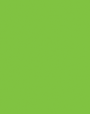 Çim Yeşili Tek Yüz  2.7 mm 85 x 70 cm (6 Parça ) - 1